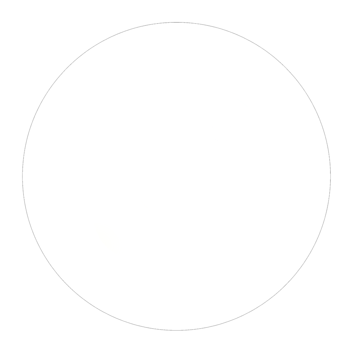 InstagramIcon